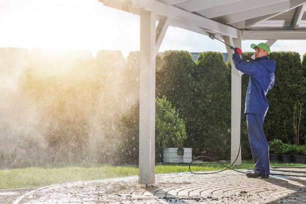 Animal Enclosure Cleaning in Pecan Plantation, TX
