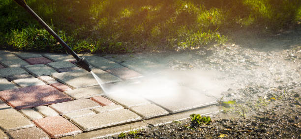Best Animal Enclosure Cleaning  in Pecan Plantation, TX